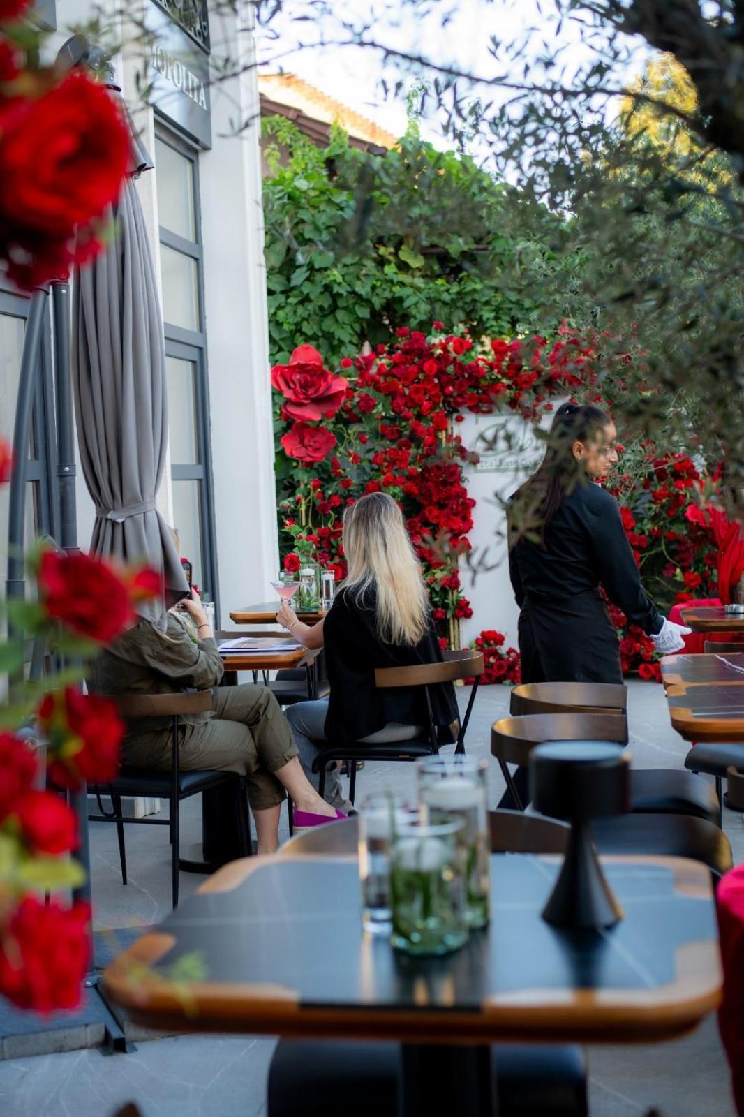 Hotel Cosmopolita Boutique Timisoara